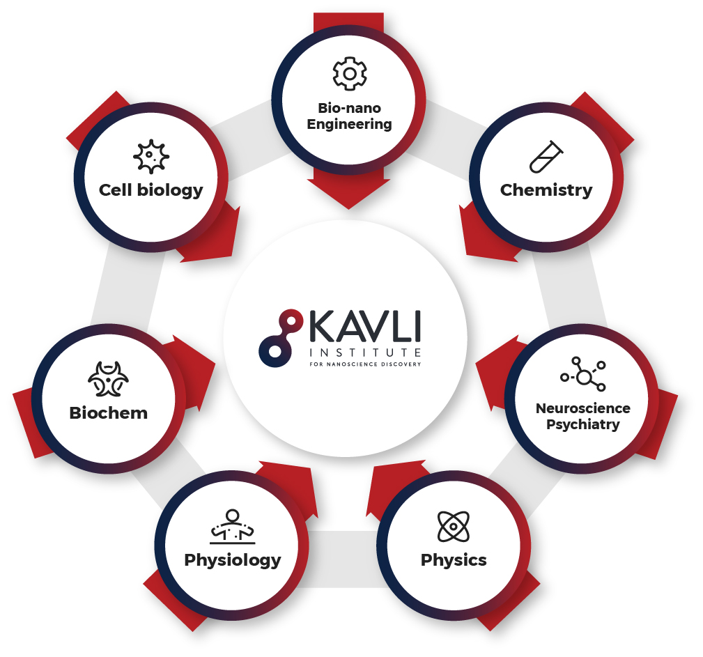Infographic showing Kavli Institute at the centre and the departments linked to it. Bio nano engineering, Chemistry, Neuroscience Psychiatry, Physics, Physiology Biochem, Cell biology