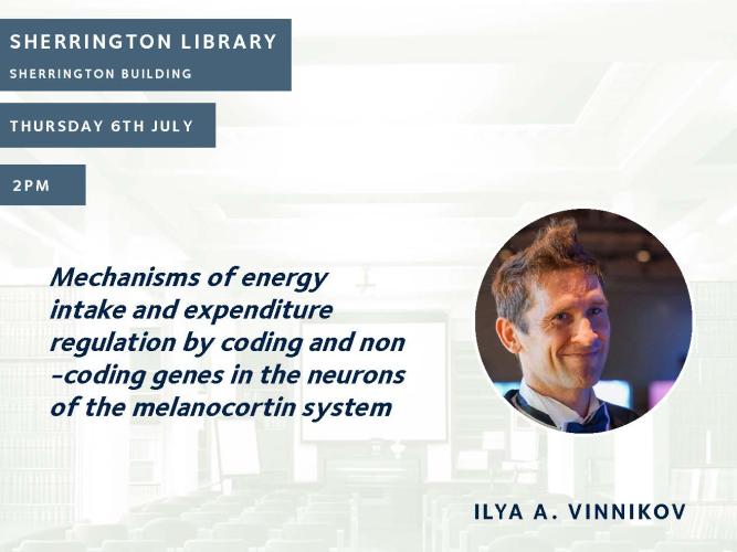ilya vinnikov talk poster