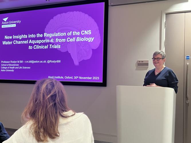 Roslyn giving her talk