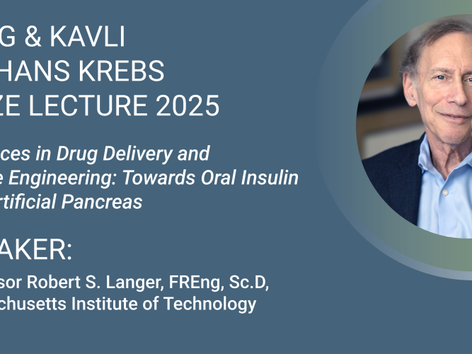 krebs kavli banner