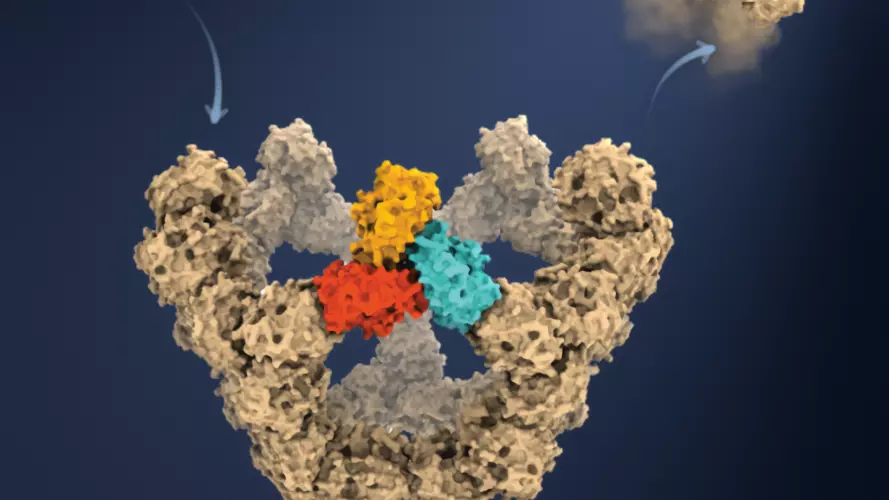 Scientific illustration of a viral particle assembling from protein subunits on a dark blue background.
