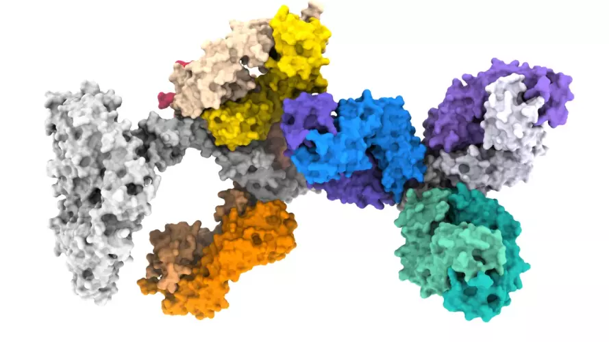 A colorful 3D molecular structure is shown on a white background, with multiple connected protein-like components rendered as textured surfaces in grey, yellow, orange, blue, purple, and teal.