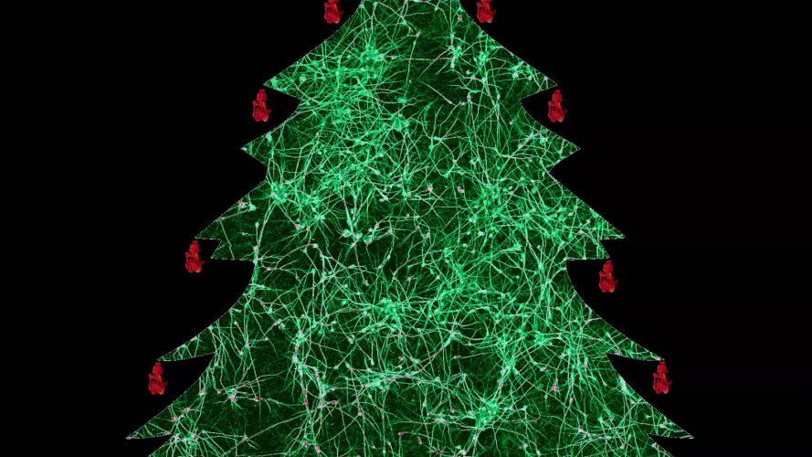 nick gatford oh christmas tree