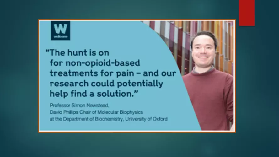 Simon Newstead et al Breakthrough pain research