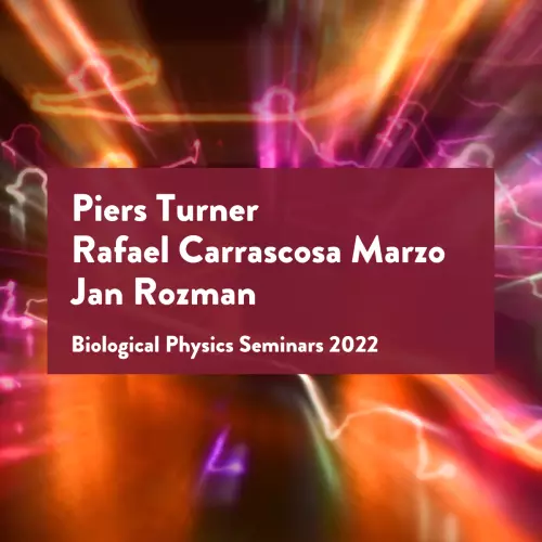 main image for the postdoc day