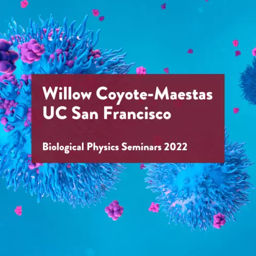 main banner for willow coyote-maestas talk