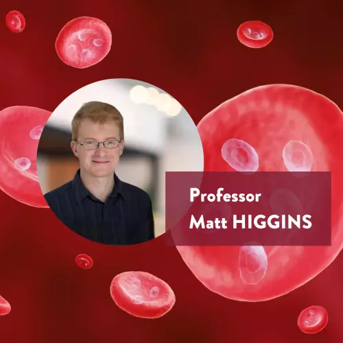 Matt Higgins Event Banner