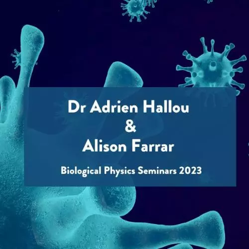 main banner for the biophysics seminar