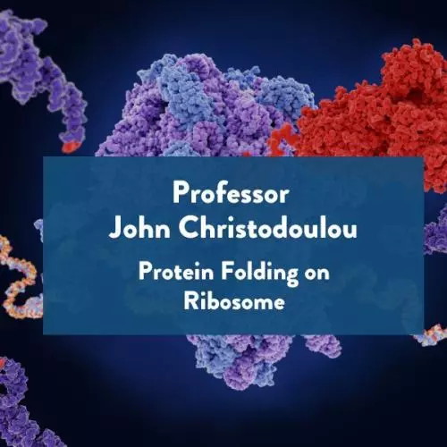 main banner for Protein Folding on Ribosome