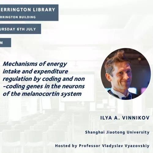 ILYA A. VINNIKOV Talk main image