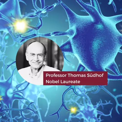 Neuroscience representative banner image.