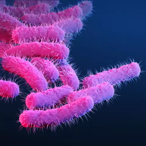 This is a medical illustration of drug-resistant, Shigella sp. bacteria