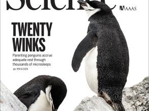 Science Magazine December 2023 Cover