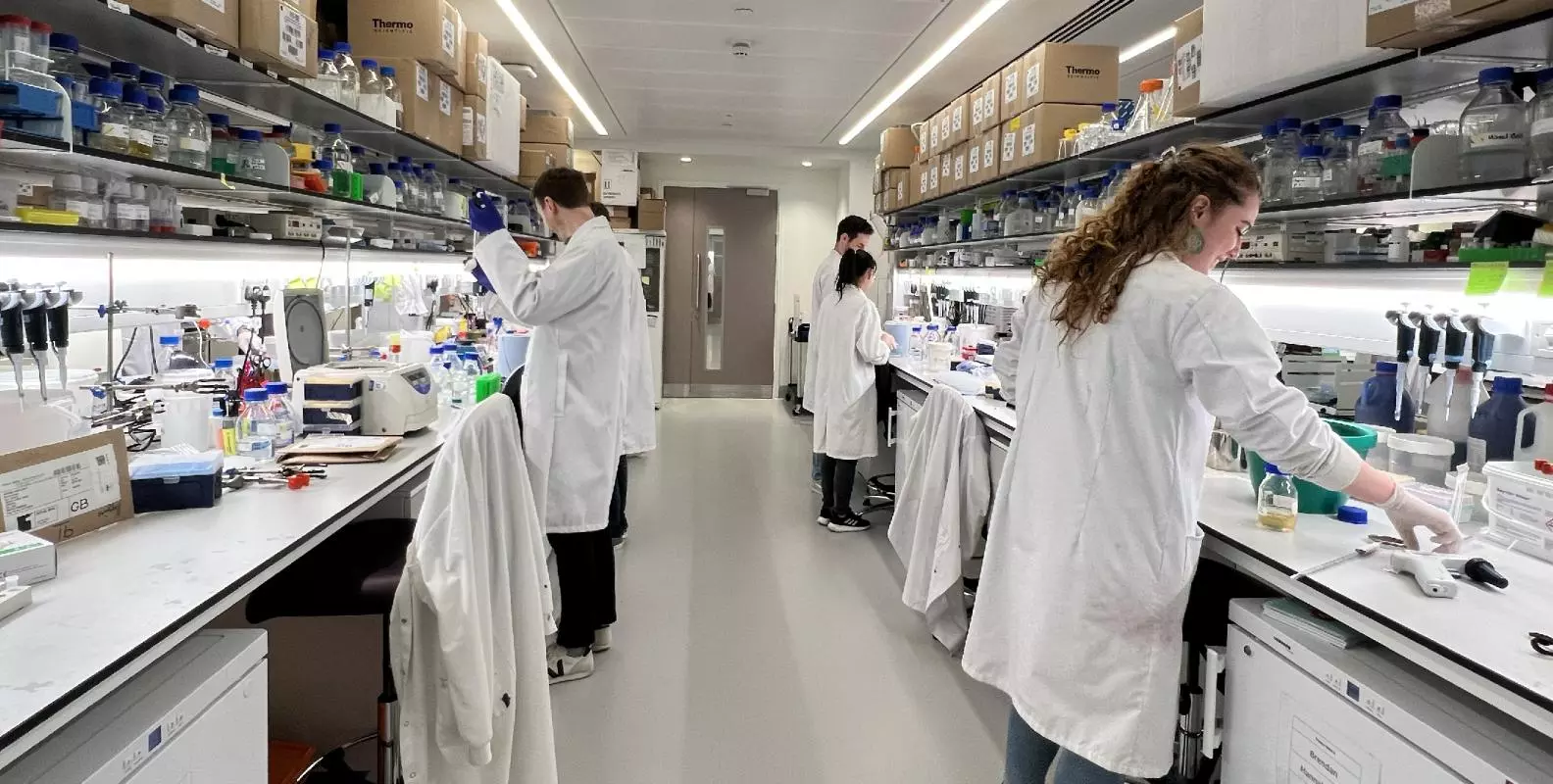 biochemistry researchers working in the lab