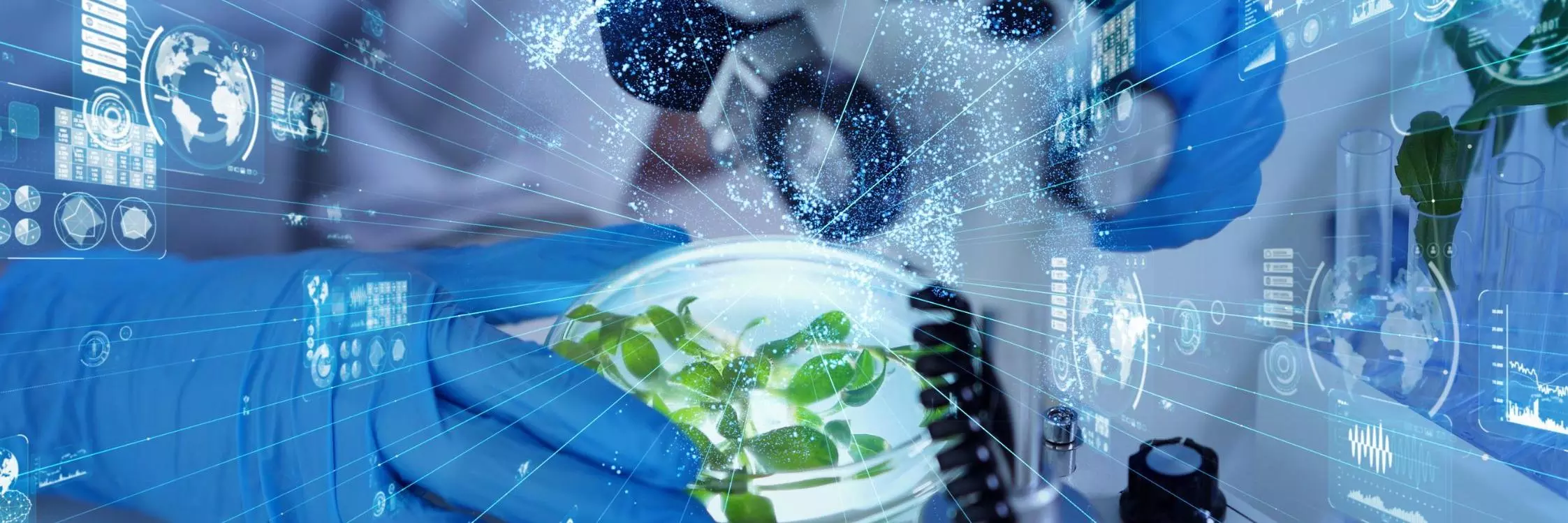 Abstract image showing a dish in a lab.
