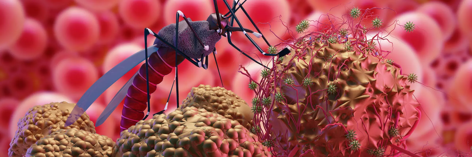 an image of a mosquito standing on blood molecules.