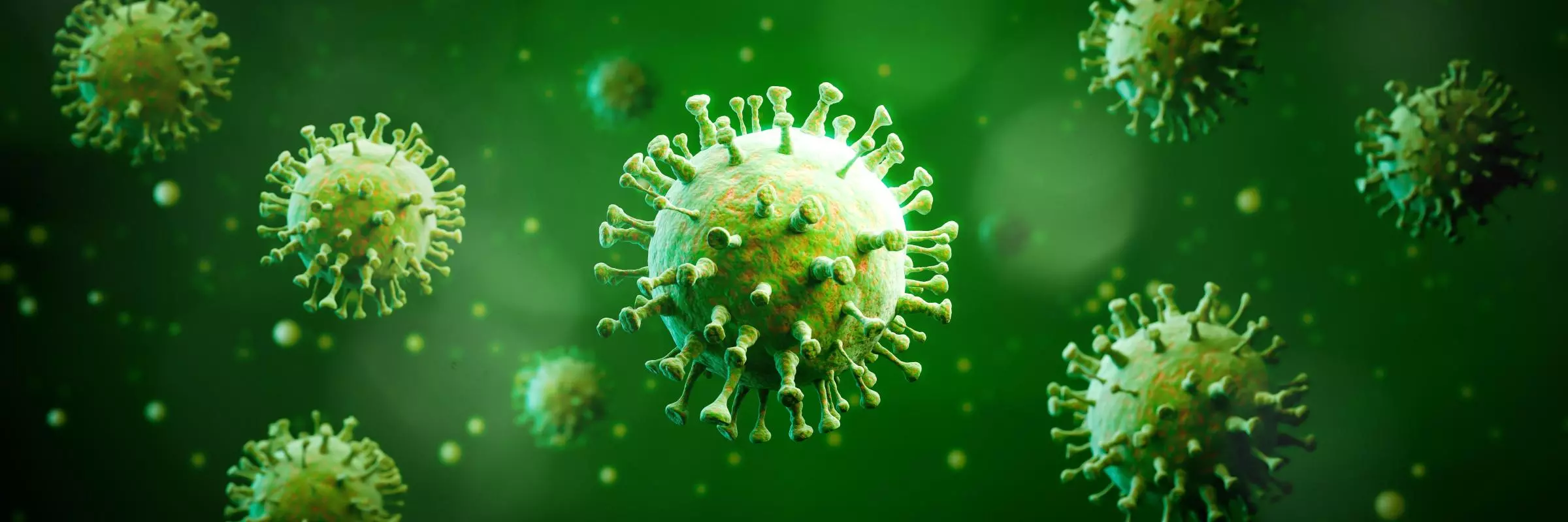 infection disease