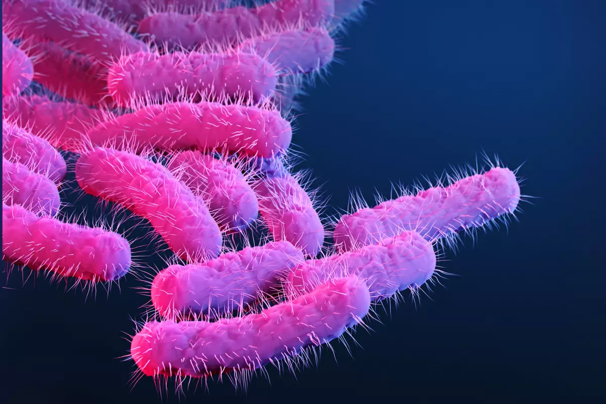 an image of drug-resistant microbes